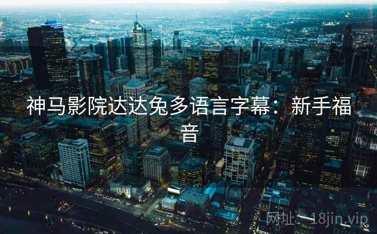 神马影院达达兔多语言字幕：新手福音